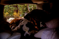 One Year of Skateboarding: A Road Trip Through Colorado’s Skate Parks and Scenic Wilderness