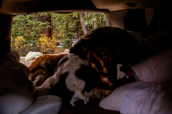 One Year of Skateboarding: A Road Trip Through Colorado’s Skate Parks and Scenic Wilderness