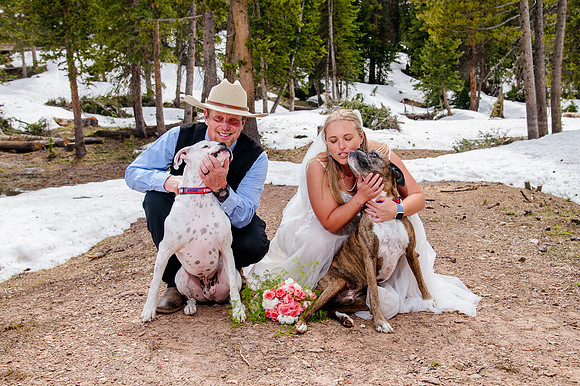 now in June: Megan Collins and Seth Underwood's Mountain Wedding
