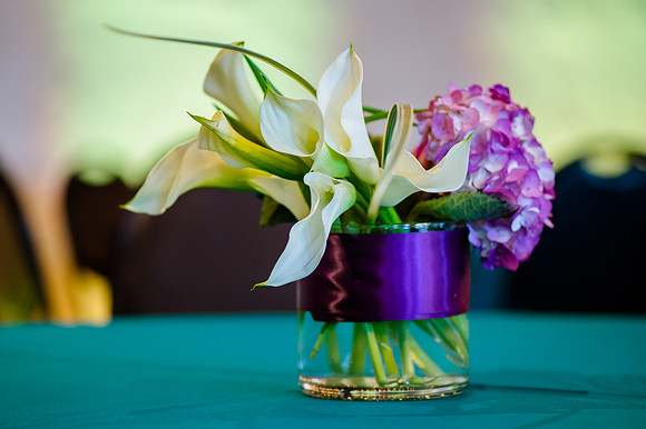 3-26-18 Pierpont Place-1518
