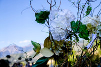 Pierpont Place Wedding at Natural History Museum 8874