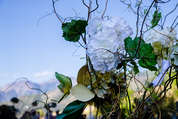 Pierpont Place Wedding at Natural History Museum 8874