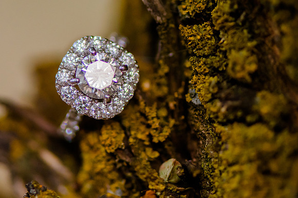 Janalee Bridals-4334