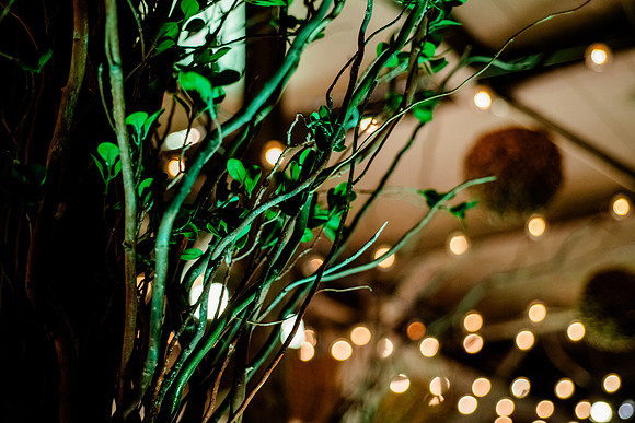 Sundance Soirée at Pierpont Place017140