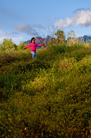 Wheeler Farm-2701