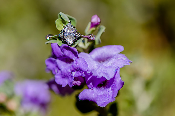Wedding at Entrada29588