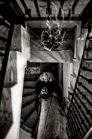 Framed by stairs