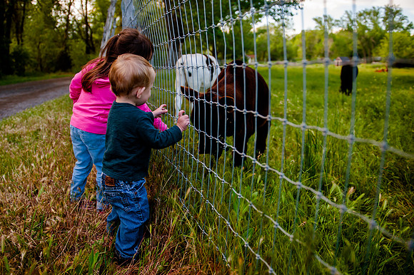 Wheeler Farm-2815