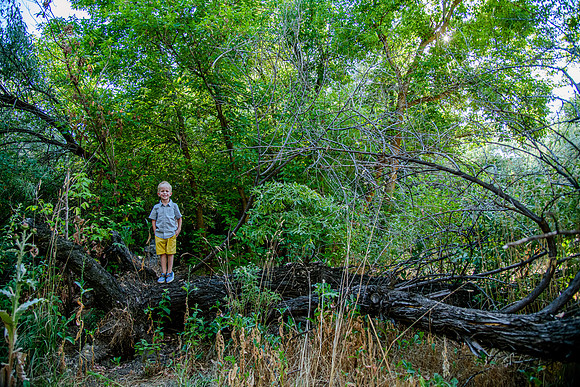 259Family Portraits at Wheeler Farm