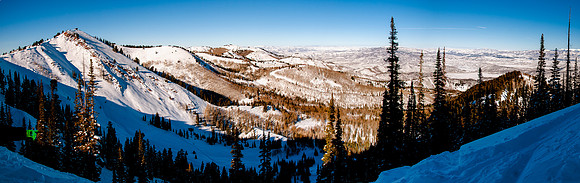 Bluebird Pano