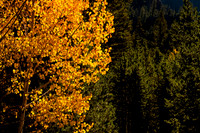 One Year of Skateboarding: A Road Trip Through Colorado’s Skate Parks and Scenic Wilderness
