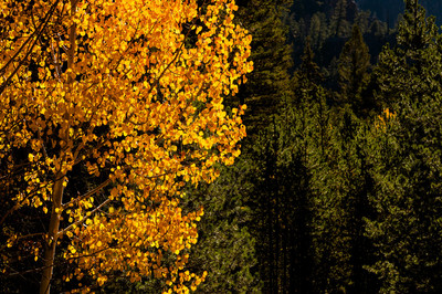 One Year of Skateboarding: A Road Trip Through Colorado’s Skate Parks and Scenic Wilderness