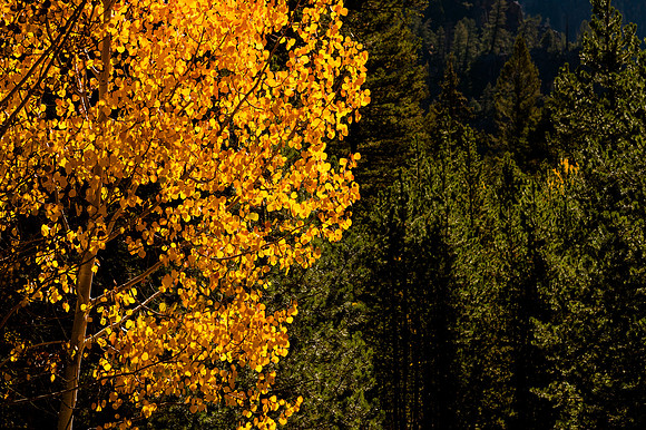 One Year of Skateboarding: A Road Trip Through Colorado’s Skate Parks and Scenic Wilderness