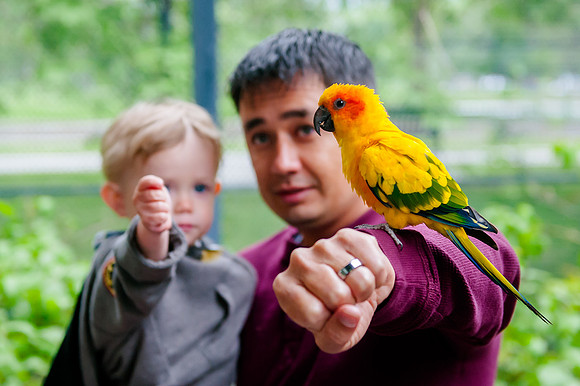 Family Outing at Tracey Aviary-1694