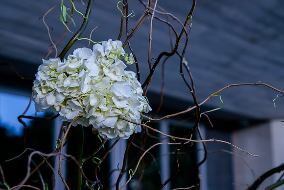 Pierpont Place Wedding at Natural History Museum 8980