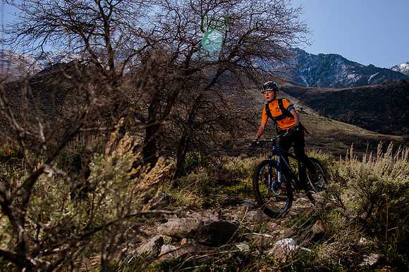 Velo 202138413
