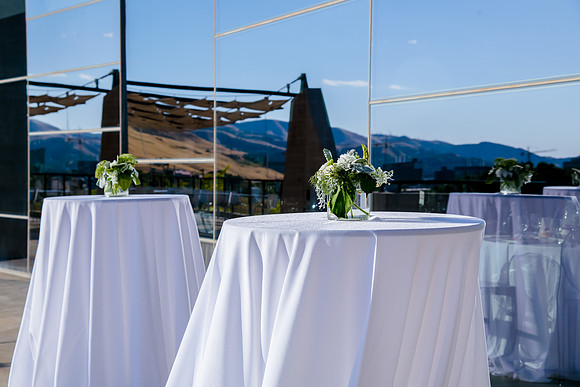 Pierpont Place Wedding at Natural History Museum 8932