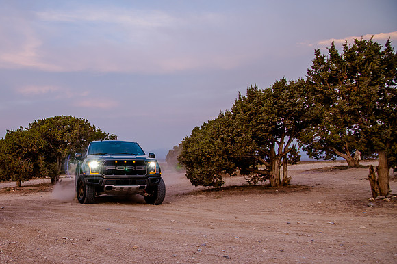 Raptor68435
