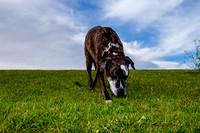 Stark_DSC0245