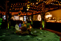 Sundance Soirée at Pierpont Place017170