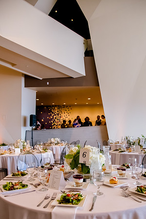 Pierpont Place Wedding at Natural History Museum 8922