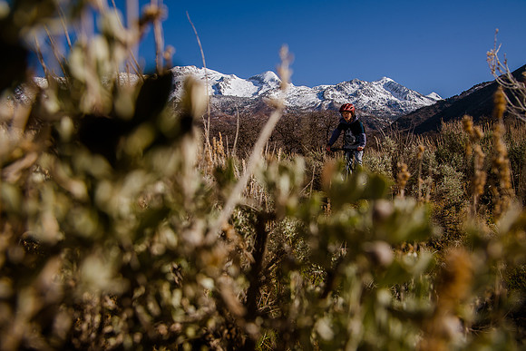 Velo 202138260