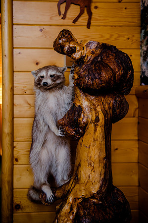 Rick and Stephanie 8-20-16-3401