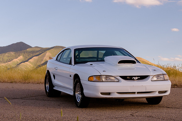 Race Car Mustang-1583