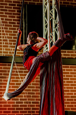 Kiki Cabaret 39507