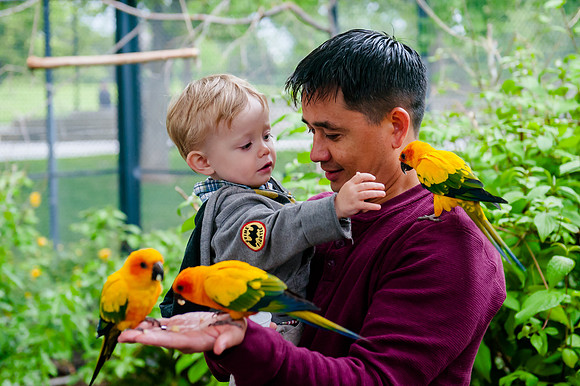 Family Outing at Tracey Aviary-1596
