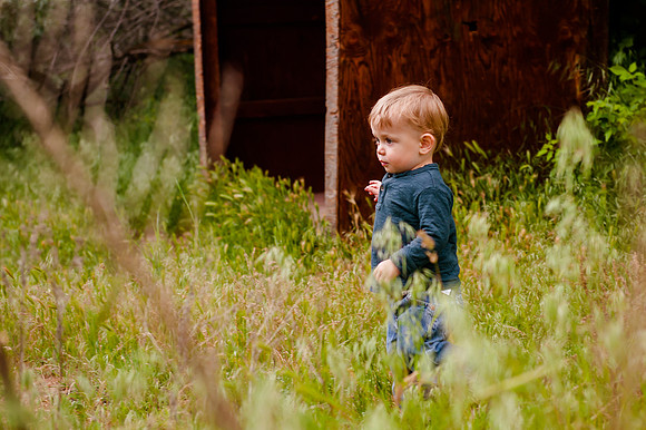 Wheeler Farm-2338