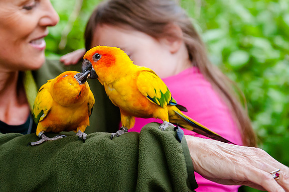 Family Outing at Tracey Aviary-1674