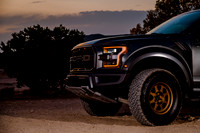 Raptor68350