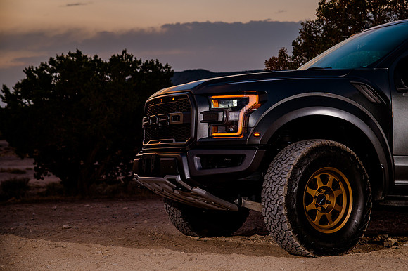 Raptor68350