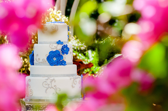 Wedding Day-5375