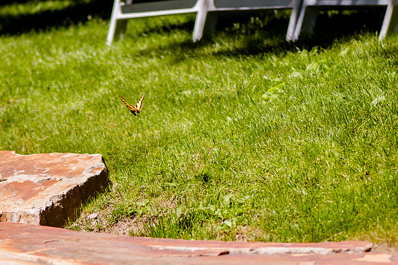 Wedding Day 6-23-20205479