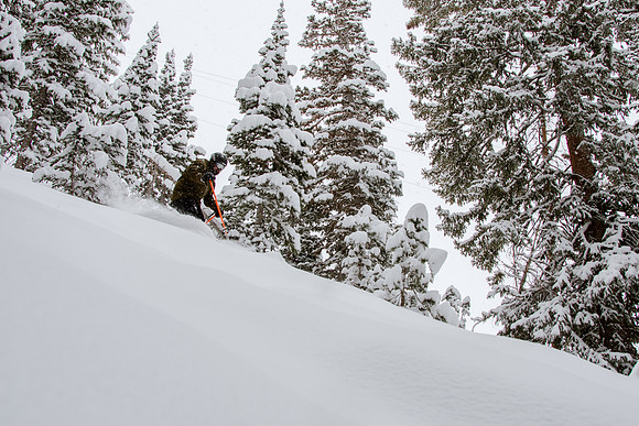 Phil Cannon (439 of 522)