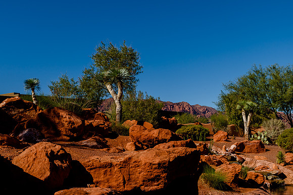 Wedding at Entrada29950