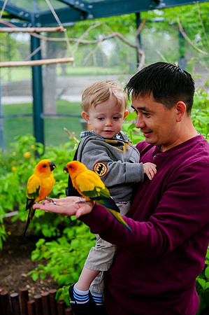 Family Outing at Tracey Aviary-1588