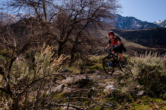 Velo 202138414