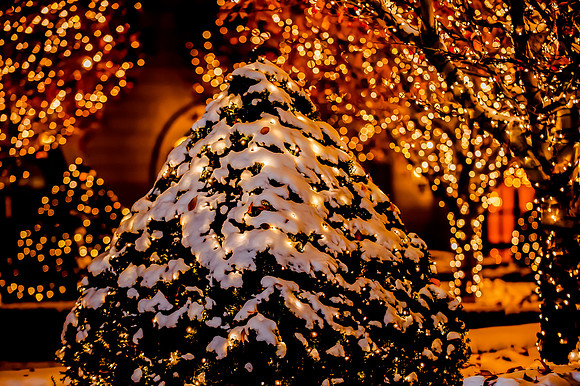 Happy Holidays!