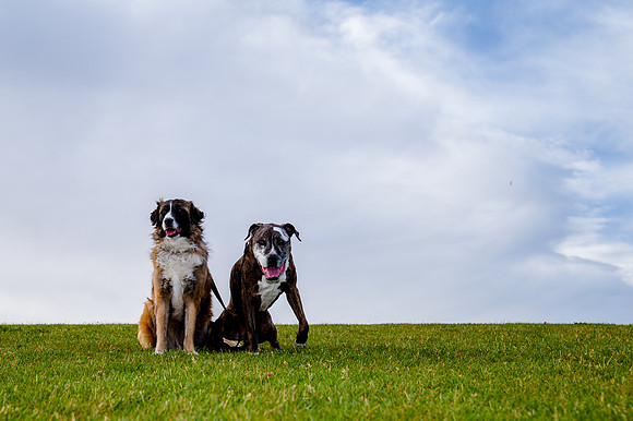 Stark_DSC0422