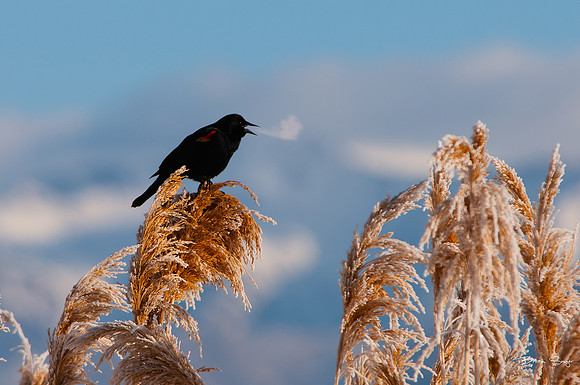 Brian Smyer's 2013 editor's picks-9453