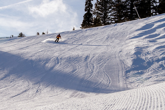 Freeride Snowbasin90779