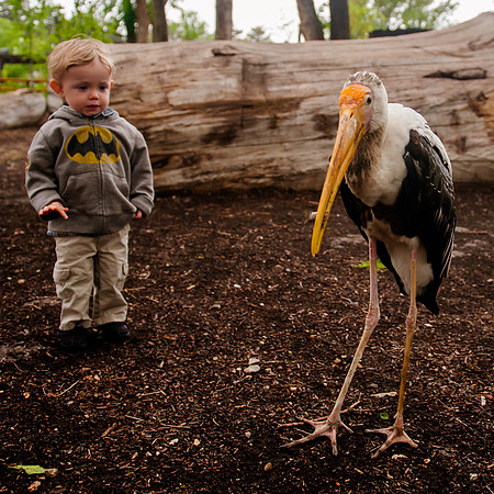Family Outing at Tracey Aviary-1787
