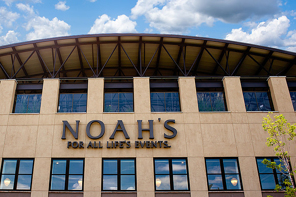 Noahs