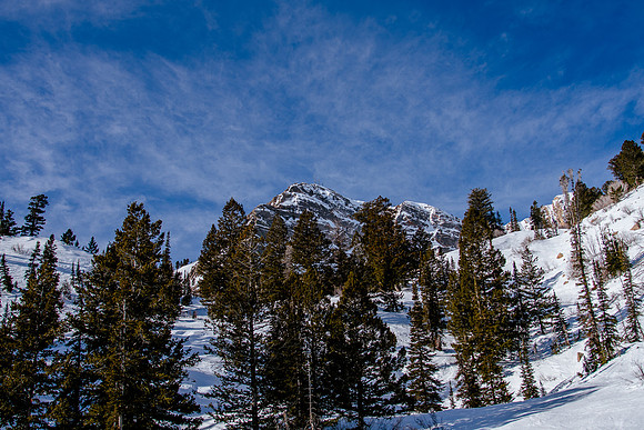 Freeride Snowbasin91082