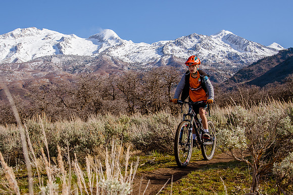 Velo 202138231