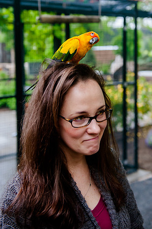 Family Outing at Tracey Aviary-1704