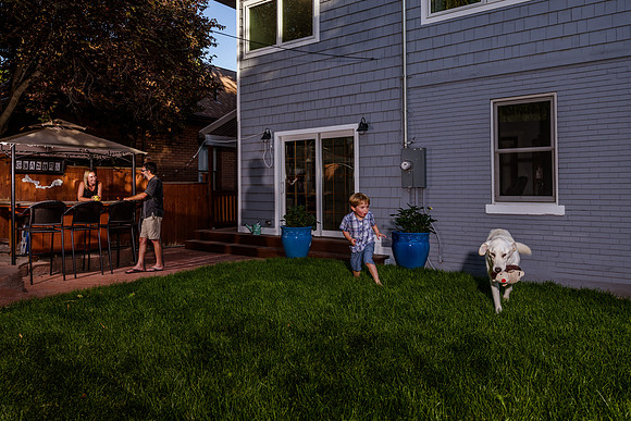 Clayton Residence_DSC5729-2